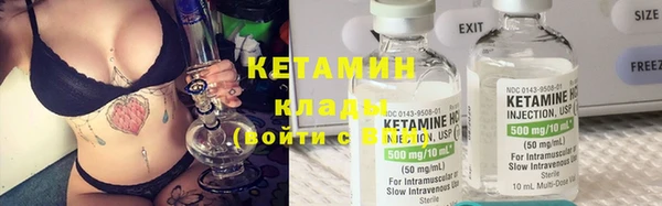 трава Бородино