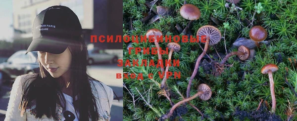 прущая мука Бронницы